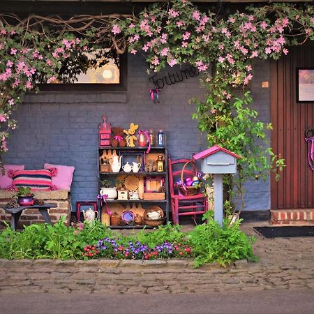 Maison Jeanny, Full House With Big Garden Frasnes-lez-Anvaing Exterior foto